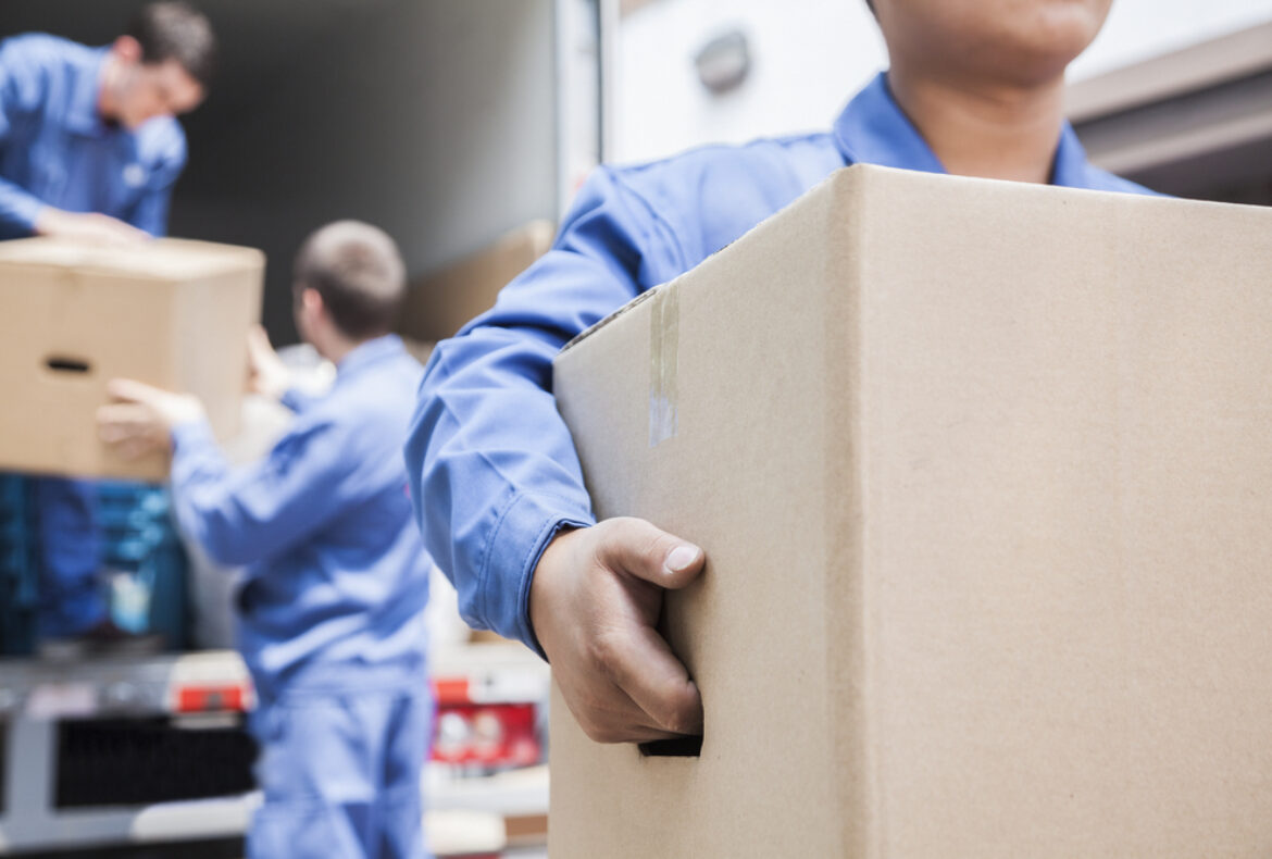 The Benefits of Using Professional Relocation Services